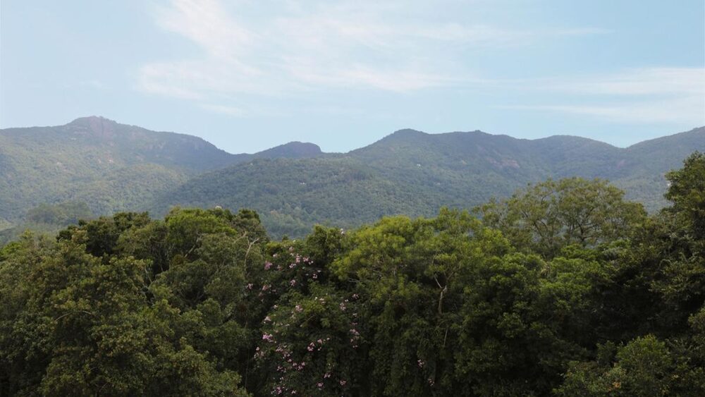Colônia AFPESP de Monte Verde