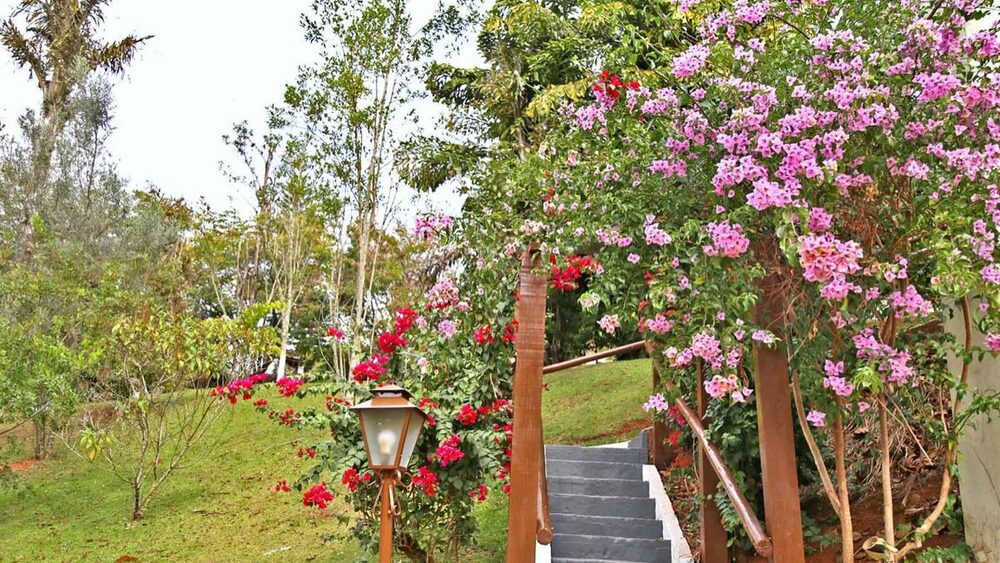 Colônia AFPESP de Serra Negra